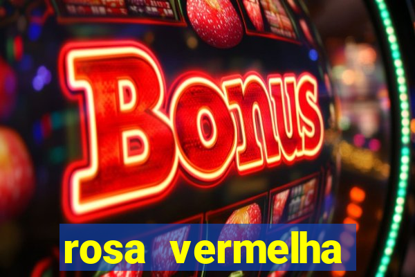 rosa vermelha (letra e cifra)